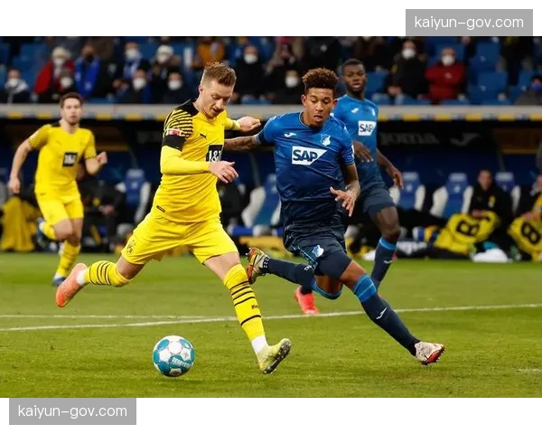 霍芬海姆主场控球率60%仍告负,进攻效率成致命伤 霍芬海姆主场控球率60%仍告负,进攻效率成致命伤